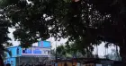 বটগাছের ডাল ভেঙ্গে পড়ে বিদ্যুৎবিচ্ছিন্ন গাংনীর চরগোয়াল গ্রাম 