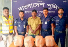 চুয়াডাঙ্গা- ঝিনাইদহ সড়কে পুলিশের অভিযানে ১৬ কেজি গাঁজা সহ আলমডাঙ্গার এক ব্যক্তি গ্রেপ্তার