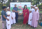 প্রধানমন্ত্রী তারেক রহমানের ঘোষিত ৫ বছরে ২৫ কোটি বৃক্ষরোপন কর্মসুচীর অংশ হিসেবে আলমডাঙ্গায় বৃক্ষরোপনের উদ্বোধন 