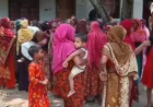 জীবননগরের ধান্যখোলা গ্রামে পানিতে ডুবে শিশুকন্যার মৃত্যু 