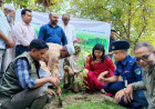 প্রধানমন্ত্রী তারেক রহমানের ঘোষিত ৫ বছরে ২৫ কোটি বৃক্ষরোপন কর্মসুচীর অংশ হিসেবে আলমডাঙ্গায় বৃক্ষরোপনের উদ্বোধন 