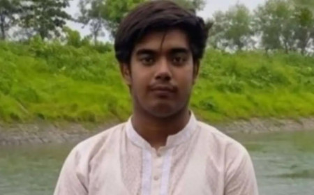 চুয়াডাঙ্গার আলমডাঙ্গা উপজেলার লক্ষীপুর গ্রামের তানজিম হাসান (২৮) নামের এক যুবক দিনাজপুরে ভুট্টা বিক্রি করতে গিয়ে সড়ক দুর্ঘটনায় নিহত হয়েছেন।