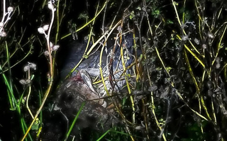 চুয়াডাঙ্গার কুতুবপুরে অজ্ঞাত ব্যক্তির অর্ধগলিত মরদেহ ভাসছে খালের পানিতে 