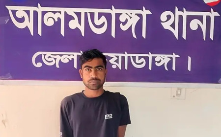 আলমডাঙ্গায় গাঁজাসহ এক মাদক কারবারি গ্রেপ্তার
