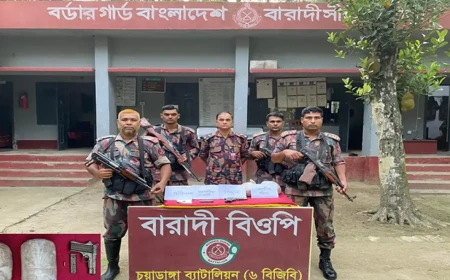 চুয়াডাঙ্গার সীমান্তবর্তী গ্রামে বিজিবির অভিযান বিদেশী পি*স্ত*ল গু*লি ও ২ কেজি গাঁ*জা উদ্ধার