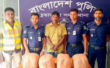 চুয়াডাঙ্গা- ঝিনাইদহ সড়কে পুলিশের অভিযানে ১৬ কেজি গাঁজা সহ আলমডাঙ্গার এক ব্যক্তি গ্রেপ্তার