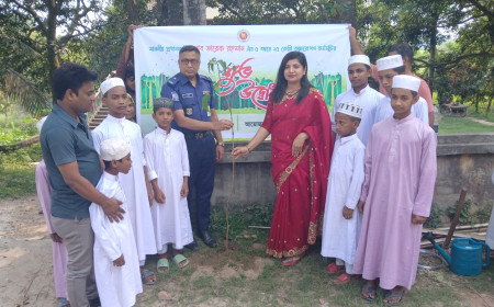 প্রধানমন্ত্রী তারেক রহমানের ঘোষিত ৫ বছরে ২৫ কোটি বৃক্ষরোপন কর্মসুচীর অংশ হিসেবে আলমডাঙ্গায় বৃক্ষরোপনের উদ্বোধন 