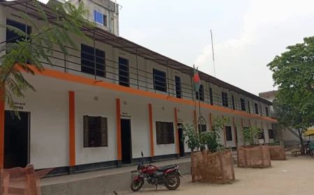 গাংনীর বিআর লাইসিয়াম স্কুল এন্ড কলেজের পরিচালকের  বিরুদ্ধে শিক্ষার্থী ও অভিভাবককে লাঞ্চিতের অভিযোগ 