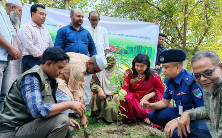 প্রধানমন্ত্রী তারেক রহমানের ঘোষিত ৫ বছরে ২৫ কোটি বৃক্ষরোপন কর্মসুচীর অংশ হিসেবে আলমডাঙ্গায় বৃক্ষরোপনের উদ্বোধন 