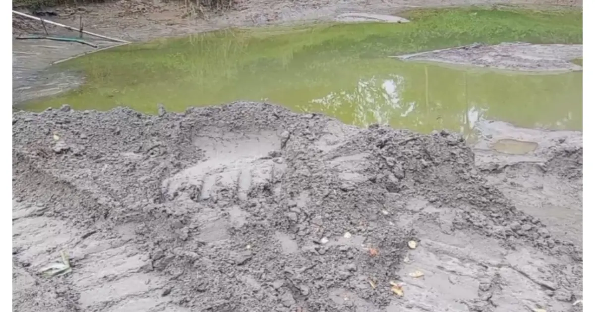 মেহেরপুরের গাংনীতে সরকারি নির্দেশনা অমান্য করে অবৈধ বালু উত্তোলন, সড়কে দুর্ঘটনার ঝুঁকি 
