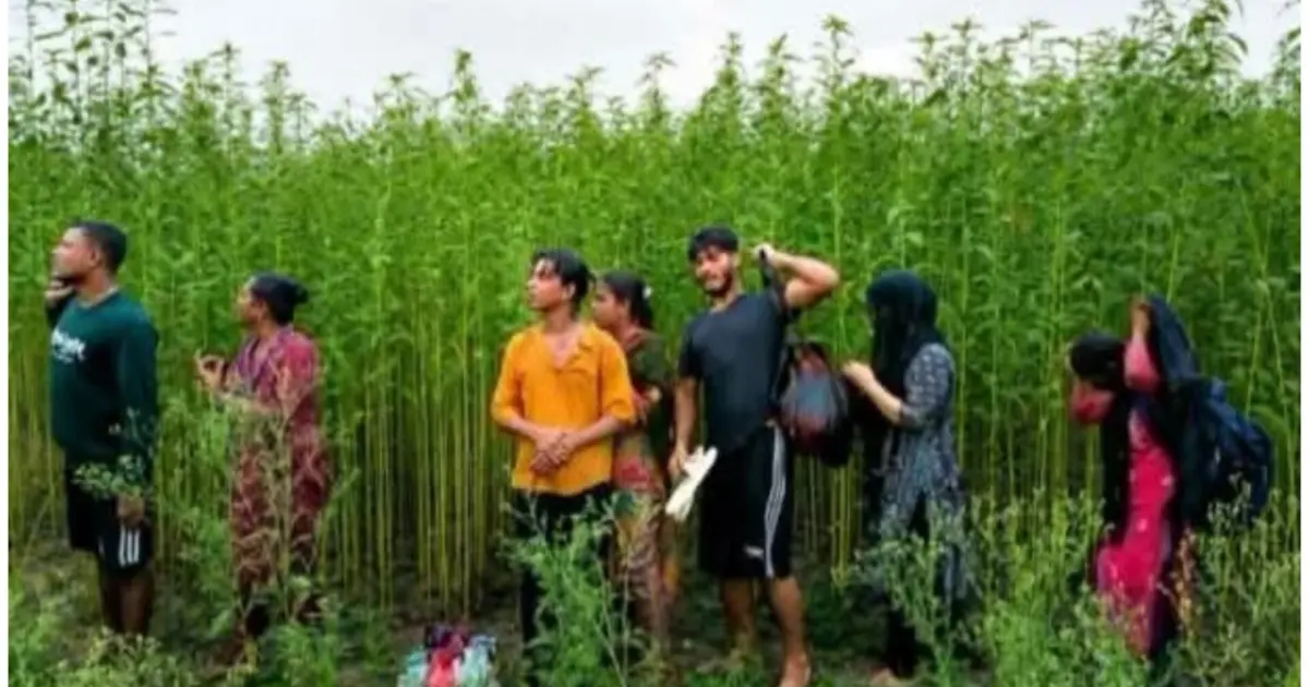 কুষ্টিয়া সীমান্তে বিএসএফের পুশইন চেষ্টা ব্যর্থ, ৮ জনকে ফেরাল বিজিবি