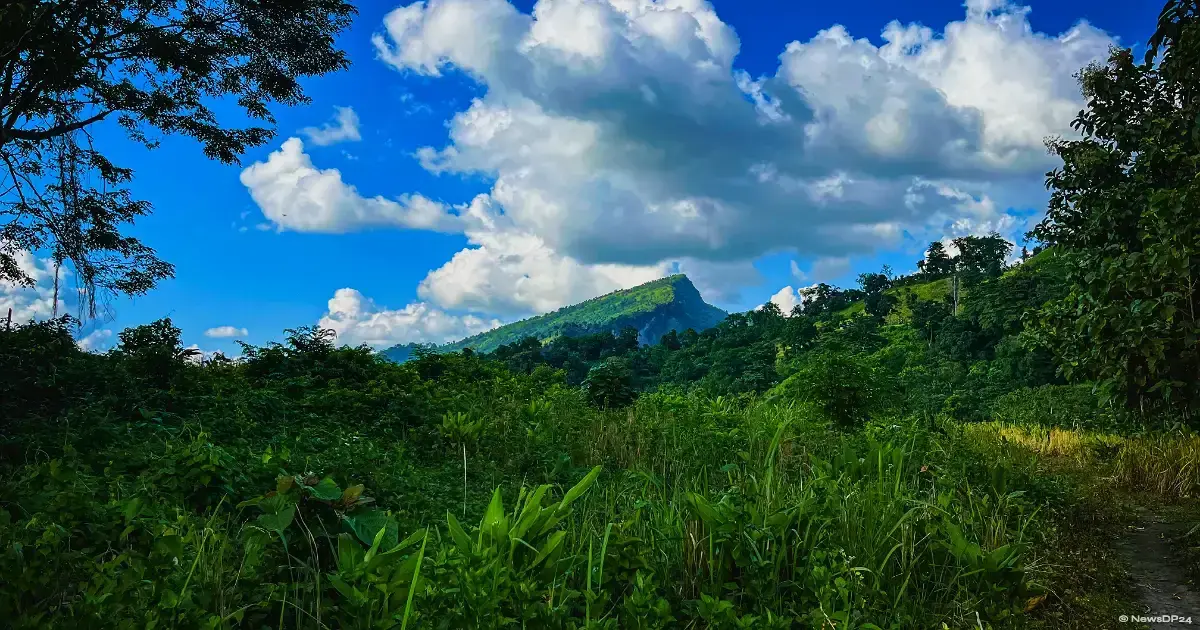 প্রকৃতির অপরূপ ক্যানভাস বান্দরবানের আলীকদম: মুগ্ধ পর্যটকরা