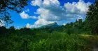 মেঘ-পাহাড় আর সবুজের রাজ্য আলীকদম