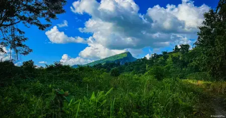 মেঘ-পাহাড় আর সবুজের রাজ্য আলীকদম