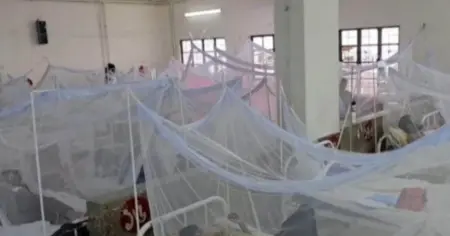 দেশে ডেঙ্গুতে আরও ৩ জনের মৃত্যু, নতুন আক্রান্ত ৪৫৮ জন হাসপাতালে ভর্তি