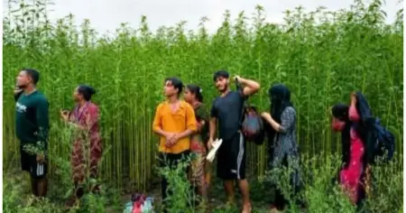 কুষ্টিয়া সীমান্তে বিএসএফের পুশইন চেষ্টা ব্যর্থ, ৮ জনকে ফেরাল বিজিবি