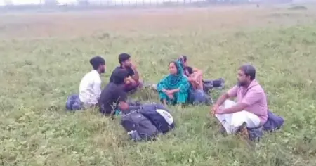 মহেশপুর সীমান্তে বিএসএফের ৬ জনকে পুশইনের চেষ্টা ব্যর্থ করে দিল বিজিবি