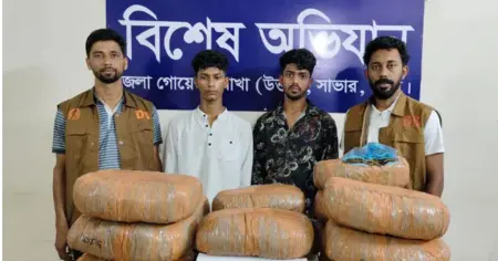 কুমিল্লা থেকে চুয়াডাঙ্গায় আনার পথে আশুলিয়ায় বিপুল পরিমান গাঁজাসহ দুজন গ্রেপ্তার