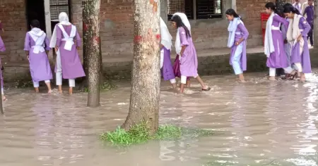 আলমডাঙ্গায় সামান্য বৃষ্টিতেই এম সবেদ আলী স্কুলে জলাবদ্ধতা, শিক্ষার্থীদের ভোগান্তি