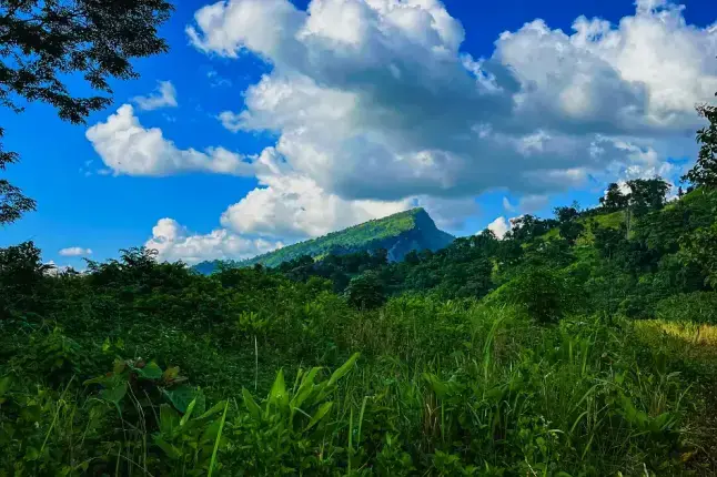 ফটো গ্যালারি-0
