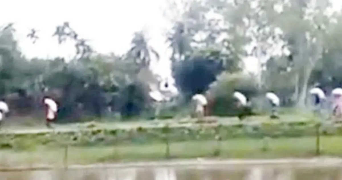 কুড়িগ্রামের ভূরুঙ্গামারীতে সার না পেয়ে ডিলারের গুদাম ভেঙে ১৯৭ বস্তা সার নিলেন কৃষকেরা 