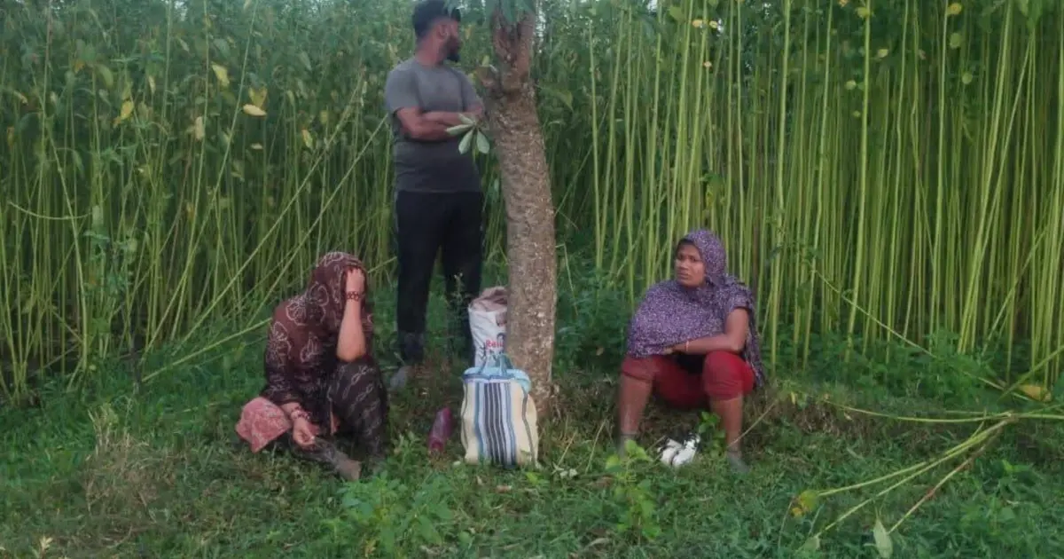 চুয়াডাঙ্গার জীবননগর সীমান্তে বিএসএফের পুশ-ইন চেষ্টা প্রতিহত করলো বিজিবি