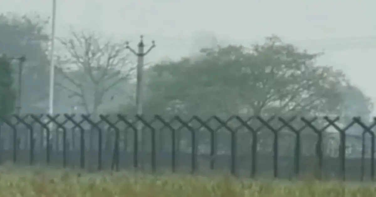 মেহেরপুরের ধলা সীমান্তে বিএসএফের পুশ-ইন চেষ্টা ভণ্ডুল করল বিজিবি