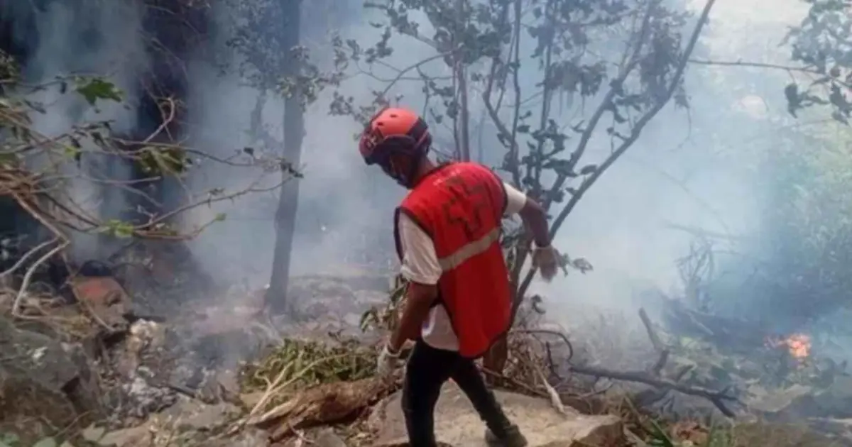 কেনিয়ায় হেলিকপ্টার বিধ্বস্ত হয়ে ইকুয়েডরের গোয়েন্দাপ্রধান ও সাংবাদিকসহ নিহত ৭