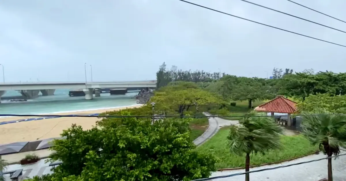 জাপানের ওকিনাওয়ায় আঘাত হেনেছে শক্তিশালী টাইফুন 'ডলফিন', চীনে বন্দর বন্ধ ও বিমান চলাচল বাতিল
