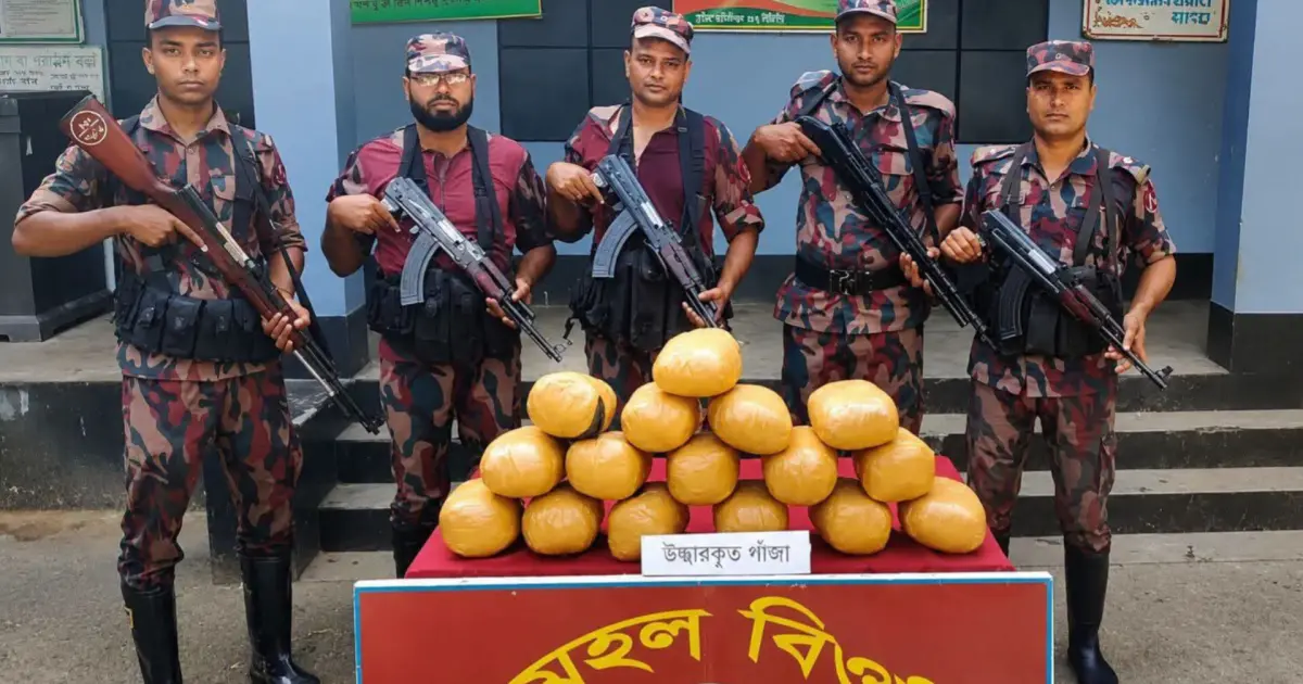 মেহেরপুরের গাংনী সীমান্তে বিজিবির ১৬ কেজি ভারতীয় গাঁ জা উদ্ধার 