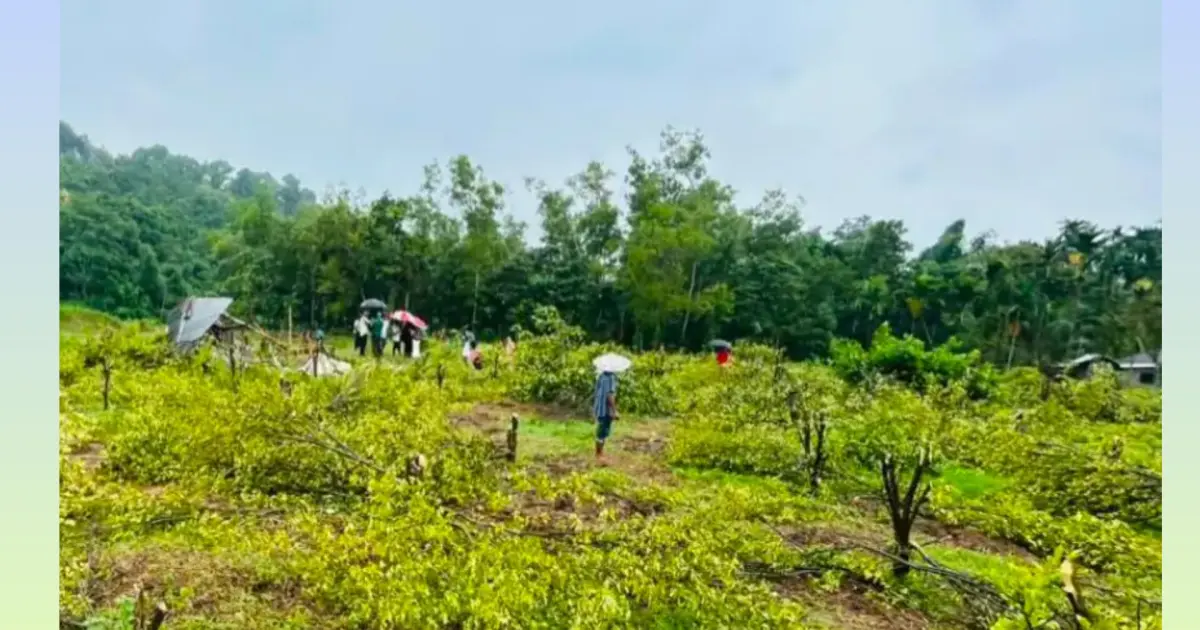 কমলা গাছ কাটার সেই ঘটনা: রাজকান্দি রেঞ্জ কর্মকর্তা প্রীতম বড়ুয়া রংপুরে বদলি