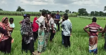 ঝিনাইদহের কোটচাঁদপুরে চাচাতো ভাইয়ের হাতে কৃষক নিহত
