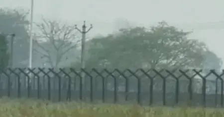 মেহেরপুরের ধলা সীমান্তে বিএসএফের পুশ-ইন চেষ্টা ভণ্ডুল করল বিজিবি