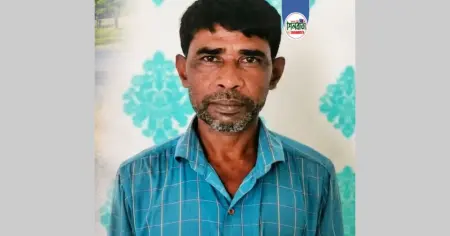 মাগুরায় আলমসাধু দুর্ঘটনায় চালক নিহত