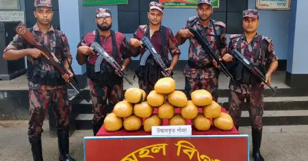 মেহেরপুরের গাংনী সীমান্তে বিজিবির ১৬ কেজি ভারতীয় গাঁ জা উদ্ধার 