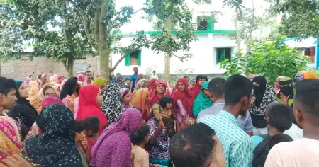 আলমডাঙ্গা গোবিন্দপুর মাঠ পাড়ায় সাপের কামড়ে এক কিশোরের মৃত্যু