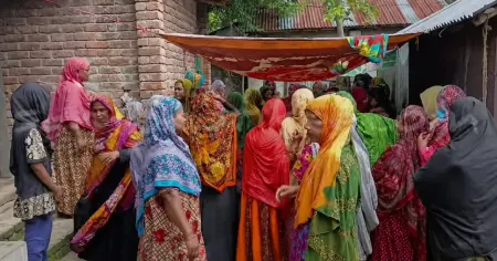 চুয়াডাঙ্গার আলমডাঙ্গায় রাইস কুকারের প্লাগ লাগাতে গিয়ে বিদ্যুৎস্পৃষ্টে নারীর মৃ ত্যু