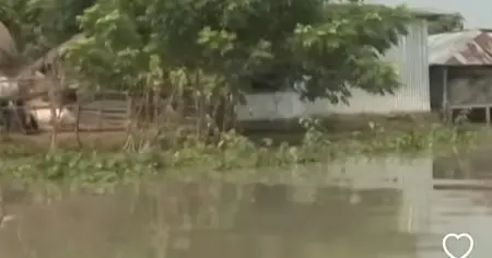 পদ্মায় পানি বৃদ্ধি: রাজশাহী, কুষ্টিয়া ও চাঁপাইনবাবগঞ্জে বন্যা, পানিবন্দি লক্ষাধিক মানুষ 