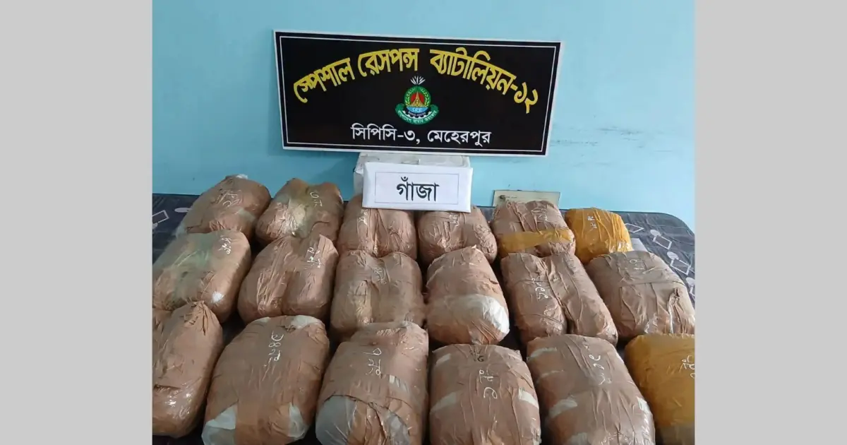 দামুড়হুদায় কুয়ার ভেতর থেকে সাড়ে ১৮ কেজি গাঁজাসহ নারী গ্রেফতার