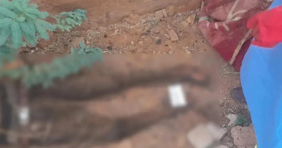 সুদানের বারা শহরে আরএসএফের তাণ্ডব: স্বেচ্ছাসেবকদের উদ্যোগে দাফন ছয়শ মরদেহ