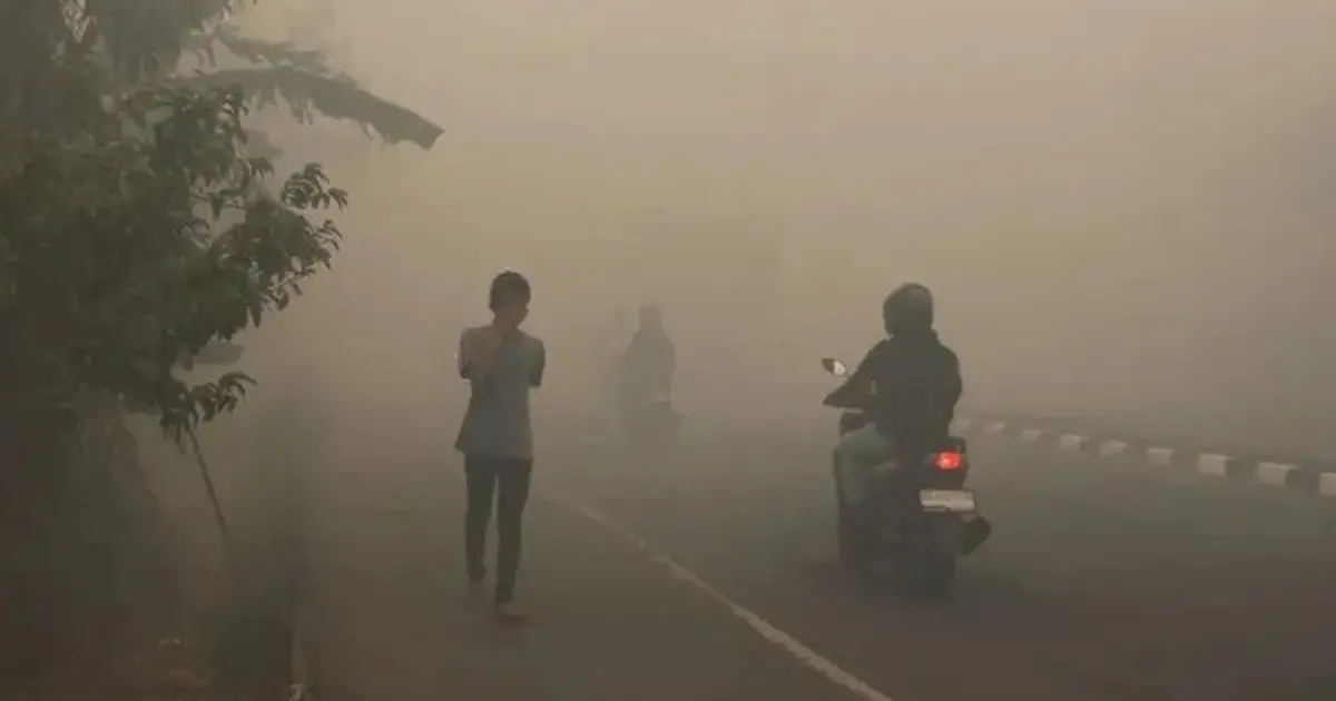 ইন্দোনেশিয়ায় দাবানলের ধোঁয়ায় ৩ লাখের বেশি মানুষ আক্রান্ত, কঠোর হুঁশিয়ারি প্রবোওয়ের