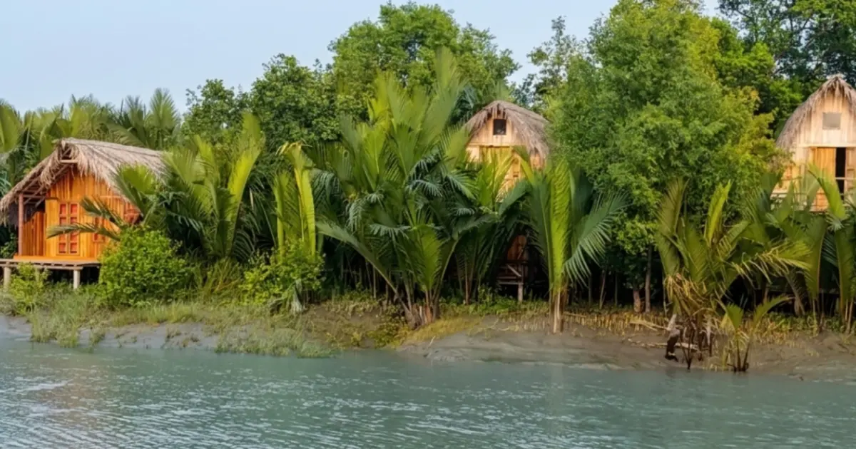 সুন্দরবন সংলগ্ন অবৈধ ১৮ রিসোর্ট বন্ধের নির্দেশ পরিবেশ অধিদপ্তরের