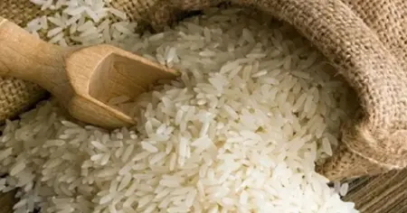 সাড়ে ৬ লাখ জেলে পরিবারকে ২৫ কেজি করে চাল দিচ্ছে সরকার